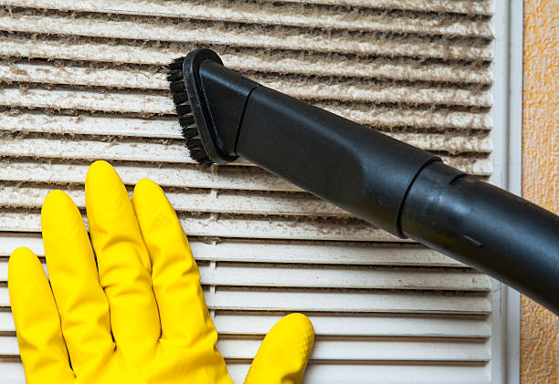 Best Ductwork Cleaning Services  in Grand Junction, CO